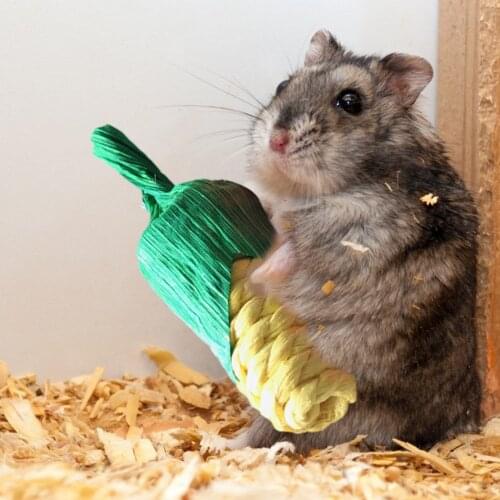 3pcs Natural Pet Chewing Toys Set Carrot & Corn Teeth Grinding Chewers Hamster Rabbit Parrot Molar Straw Weave Carrot Corn New