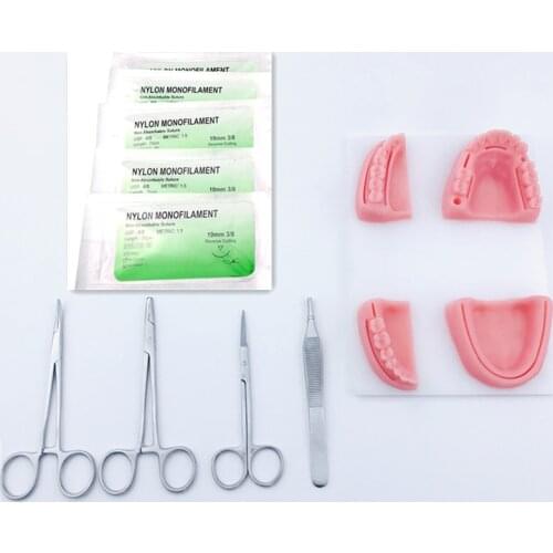 Teaching Training Equipment Skill Practice Dental Simulation Oral Suture Model with Needle Gum Suture