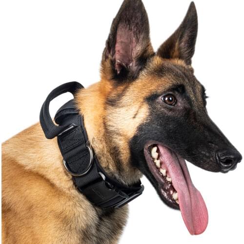 OneTigris Metal Buckled Heavy Duty K9 Collar 08 330lb Strength Tested Stainless Steel D-ring Adjustable Dog Collar with Handle