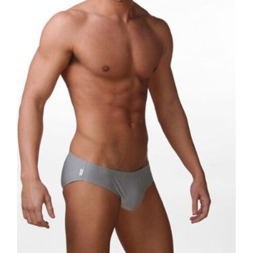 Sexy Men Low Rise Briefs Men Underwear Soft Underpants Bikini Bulge Pouch Man Cueca Male Panties hombre Plus size