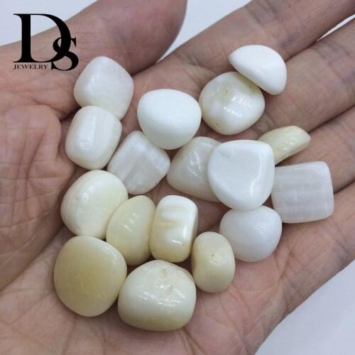 100g Natural Giant Clam Tridacna Polished Conch Gravels Marine Ocean Shell Tumbled Stones Wedding Festival Craft Ornaments