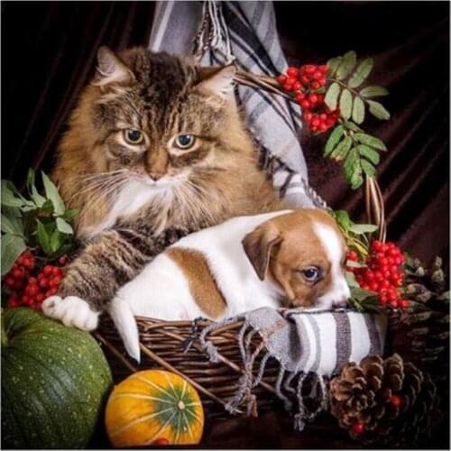 Kexinzu 5D Diy Full Square Round Stone Resin Diamond Painting Cross Stitch Embroidery Cat Diamant Mosaic Friend Gift XF12