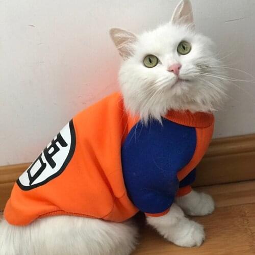 Cute Cat Clothes for Cats Autumn Winter Soft Warm Small Cats Dogs Sweater Coat Pet Apparel XS-XXL