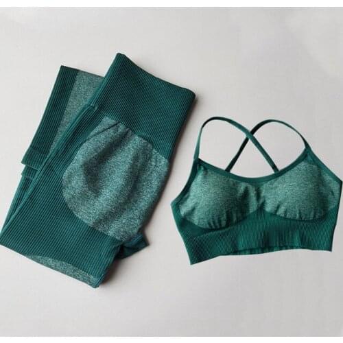 Seamless Yoga Set Women Fitness Clothing Sportswear Woman Gym Leggings + Padded Push-up Strappy Sports Bra Sports Sportswear