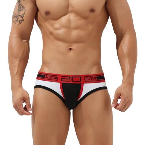 New Mens Cotton Underwear Men Briefs High Quality Sexy Briefs Male Underwear Underpants Panties