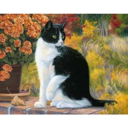 GATYZTORY diy frame Cat Animals DIY Painting By Numbers Acrylic Picture Wall Art Canvas Painting Home Decor Unique Gift 40x50cm