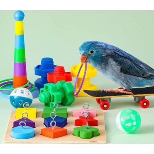 9Pcs/Set Parrot Toy Kit Bite-resistant Interactive Plastic Wood Birds Block Puzzles Skateboard Toy For Pet Bite-resistant Toy