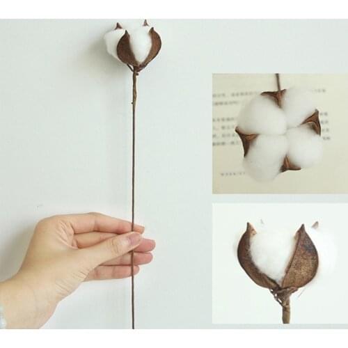1pcs Decorative Dried Flowers Natural Cotton Branch Small Flowers Plants Stems Flores Secas For Home Wedding Party Decoration