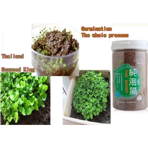 6 bottles The pure seaweed beauty mask White Water shrink pores