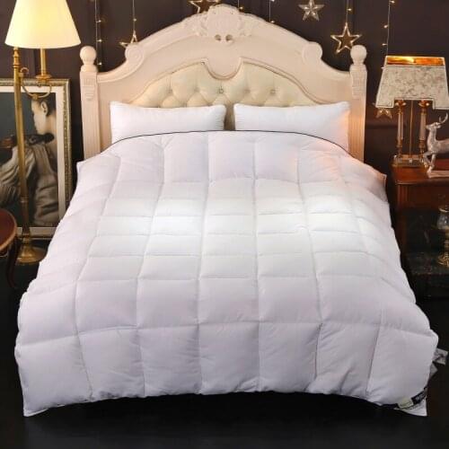 All Cotton Down Quilt Spring Autumn Winter Duvet Warm Lightweight Thickened Quilt Core Pure Cotton White Goose Feather Cover