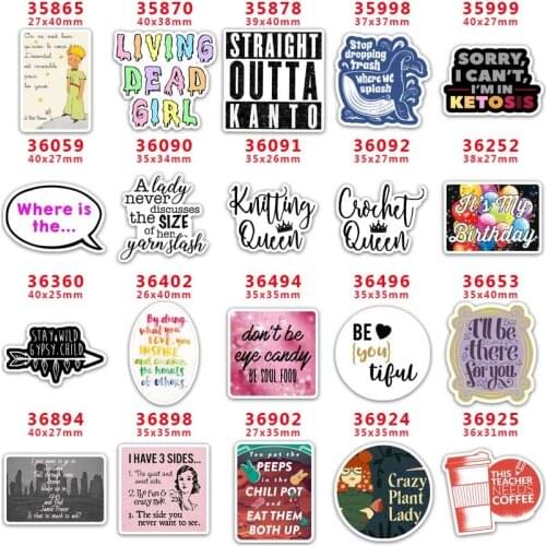 10 Pcs Cartoon Planar Resin Cabochons shaker acrylic PR35865