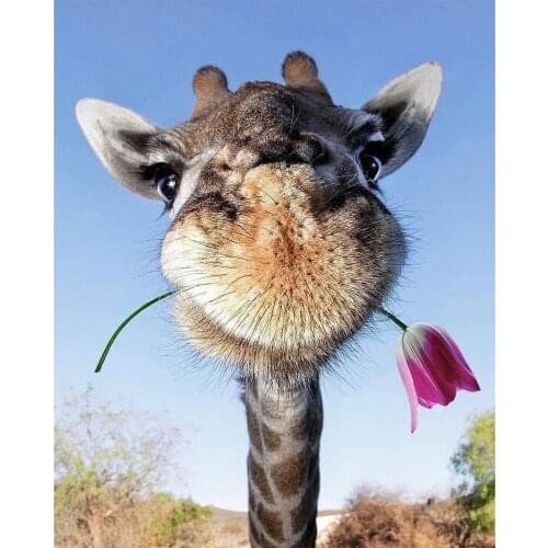 Dpsprue 5d Diy Square/Round Diamond Painting Giraffe Embroidery Diamond Paintings Needlework Mosaic Kit Painting Gift GHF06