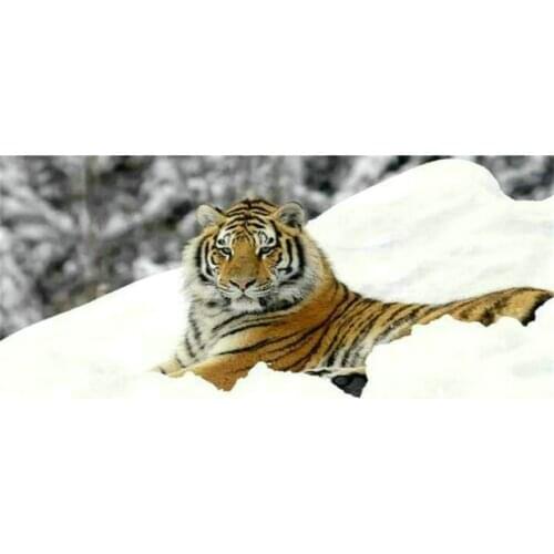 Animal diamond painting tiger square / round drill mosaic winter snow crafts diamond embroidery home decoration