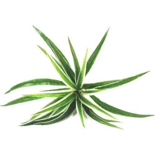 Artificial plants grass Fake flowers Plastic Plant For Home Garden office Desktop grass decoration Simulation plants flowers