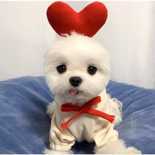 Autumn Pet Love Sweater Small Dog Teddy Bichon VIP Schnauzer Cat Dog