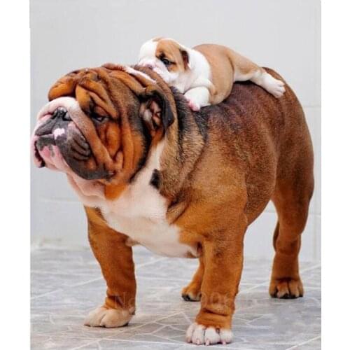 5D DIY Diamond Painting Animals Dog,Cross Stitch 3D Diamonds Embroidery Mosaic Rhinestones Needlework Home Decor Gift