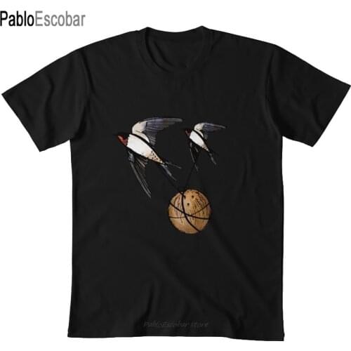European or African Swallow? T shirt swallows african swallow european swallow monty python and the holy grail coconut