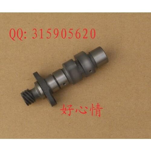 NEW free shipping Jinan qingqi tibetan mastiff qm200gy camshaft for suzuki gxt200 dr200 parts