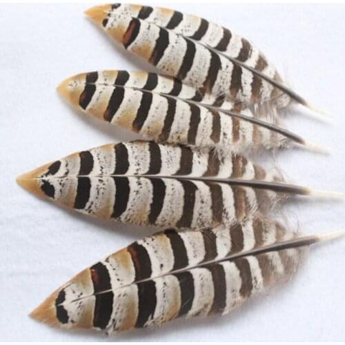 Wholesale Rare 10 pcs Natural Pheasant Feathers 10-15 cm DIY Jewelry Clothing Hat Christmas Holiday Decorative