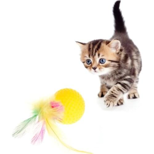 Pet Cat Teaser Golf Ball Feather Colorful Toys Squeaky Chew Play Intelligent Interactive Funny Dog Puppy Kitten Supplies