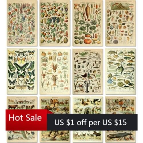 Vintage Vegetable Fruit Mushroom Poster Print Antique Art Print Botanical Science Poster Canvas Painting Wall Decor Pictures