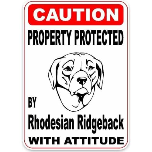 New Personality Rhodesian Ridgeback Dog Car Stickers Motorcycle Decals Scratches Waterproof PVC 16cm *11cm