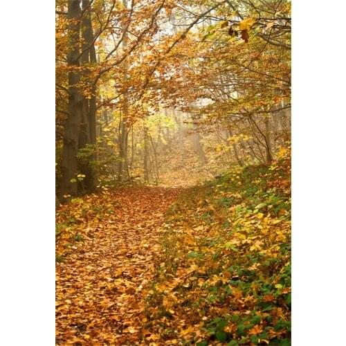 Laeacco Autumn Fallen Leaves Yellow Tree Passage Portrait Scenic Photographic Backgrounds Photography Backdrops For Photo Studio