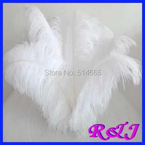 Wholesale 20PCS 55-60cm 22-24inch white OSTRICH FEATHER real ostrich plumage ostrich plumes EMS Free Shipping