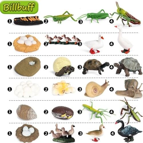 Simulation Animal Insect PVC Ladybug Bee Spider Model Action Figures Collection Miniature Cognition Educational Toy for Children