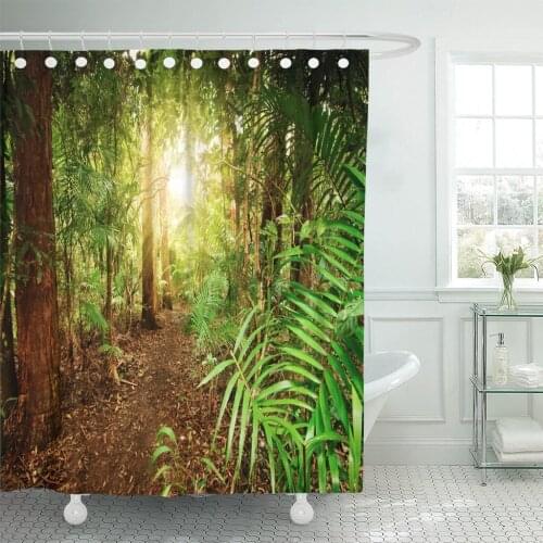 Australian Rainforest at Late Afternoon Sun Rays Breaks Through Shower Curtain Waterproof Polyester Fabric 72 x 72 Inches