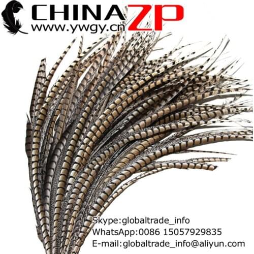 CHINAZP Factory 50pcs/lot Large Size 80-90cm(32-36inch) Good Quality Natural Lady Amherst Pheasant Tail Feathers