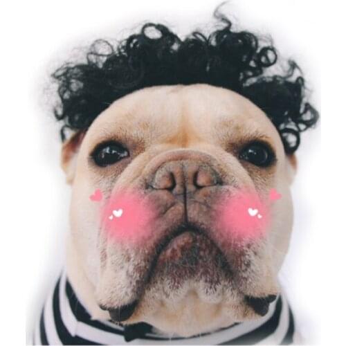 Cute Pet Cosplay Mane Wig Dog Transfiguration Costume Fun Hair Cap Cat Puppy Dog Party Decoration Ear Pet Apparel Accessories