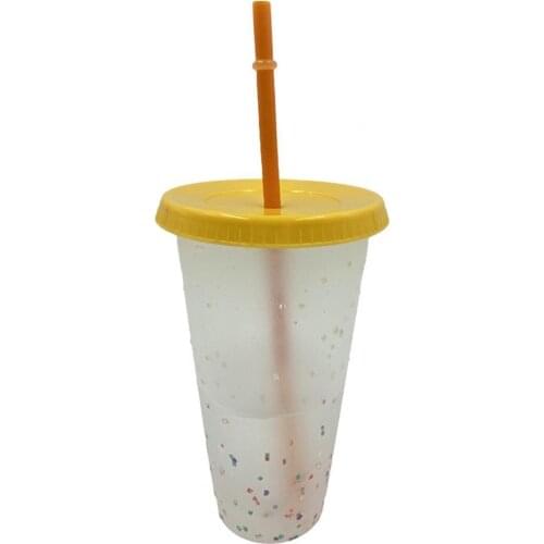 700ml Eco-friendly Rainbow Straw Cup Food Grade Reusable PP Plastic Durable Colorful Bottle with Lid Office Tumblers