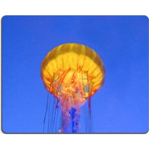 Underwater tropical jellyfish Mouse Pad Customized Game Mouse mat Rectangle 260mm*210mm*3mm