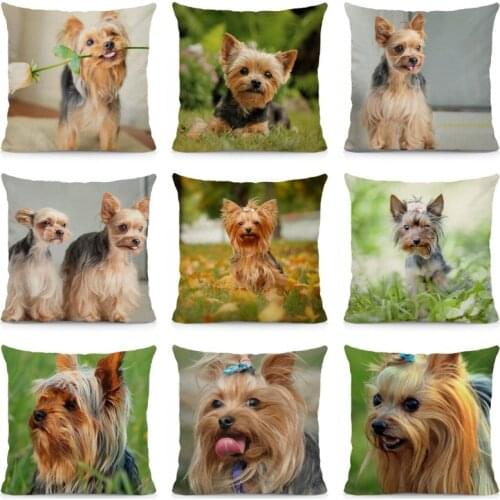 XUNYU Dog Pattern Cushion Cover 45x45 Yorkshire Terrier Pillow Case Home Decoration Throw Pillows DWG040