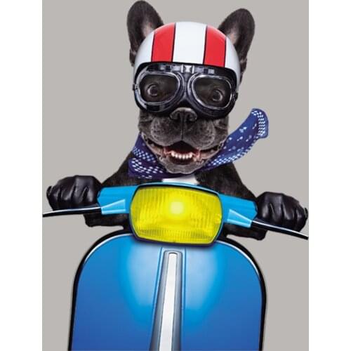 Happy Dog Cartoon Patch Tops Vinyl Appliqued Heat Transfer Diy Parches Over Powder Heat Print On T-Shirt Jeans Washable Stickers