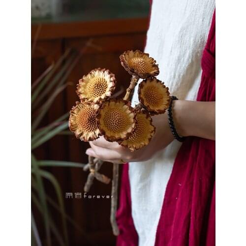 1pcs South Africa Imported Sun Crown Dried Flowers DIY Inserted Bouquet with Dried Branches B & B Cafe Soft Furnishings