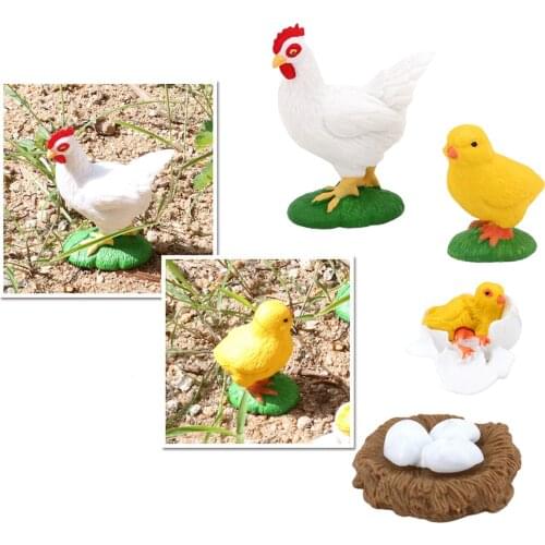4pcs/set Kids Insect Hen Growth Model Playset Pre-school Learning Toys