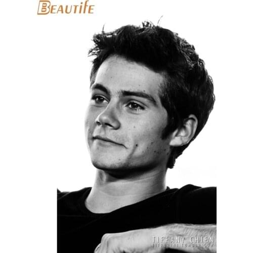 Custom Dylan Obrien Poster Cloth Silk Poster Home Decoration Wall Art Fabric Poster Print 30X45cm,40X60cm.50X75cm,60X90cm