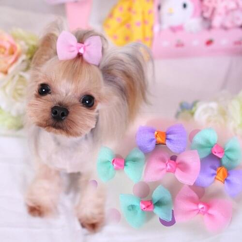 2016 Pet Dog Candy Color hairpin headdress ornaments Pet accessories 50pcs