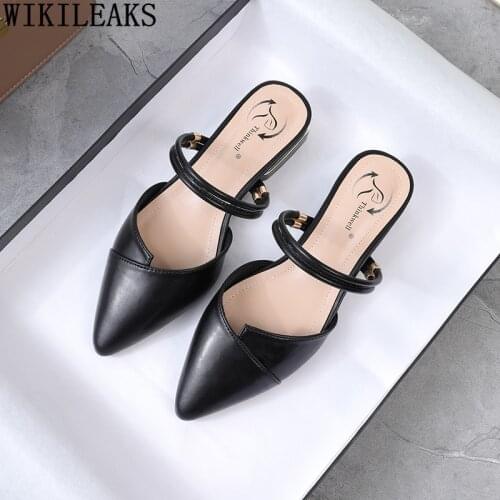 Mules Shoes Women High Heels Sandals Women Pumps Women Shoes Sandals Women Summer Ladies Shoes and Sandals Block Heel Chaussures
