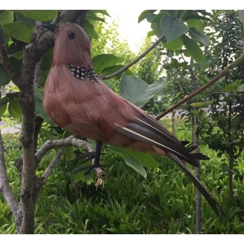 Simulation turtledove model foam & furs brown bird gift about 25cm 1803