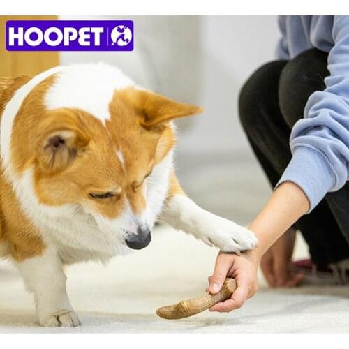 HOOPET Durable Molar Toys For Dogs Wooden Safe Chewing Pet Toys Protect Teeth Antler Shape Interactive Chew Playing For Puppy