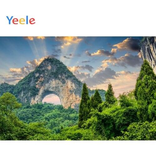 Yeele Mountain Forest Green Screen Natural Scenery Photography Backgrounds Custom Photographic Backdrop For Photo Studio Props