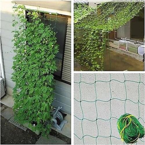 New Climbing Bean Plant Nets Grow Fence Garden Green Nylon Trellis Netting Support 1.8x1.8M