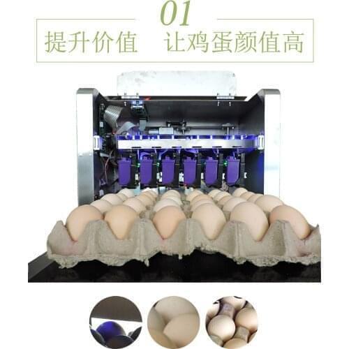 Automatic Egg Coding Machine/Egg Printing Machine Stainless Steel