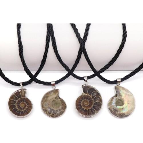 High Quality Fashion Necklace Natural Ammonite Seashell Fossils Snail Pendants Ocean Conch Pendant for Women Men Pendulum