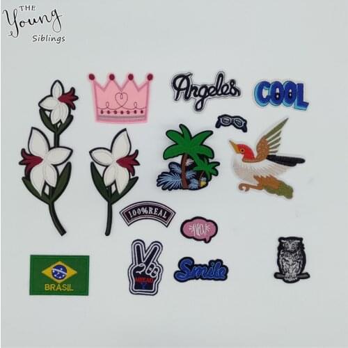 Strawberry Glasses Owl Patch Fashion Cartoon Iron On Patches Kids DIY Sewing Embroidered Badges Patches For Clothing Accessories