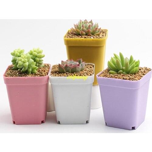 1000sets/lot Mini Bonsai Planters Plastic Table Succulents Plant Pots Plate Gardening Vase Square Flower Pot