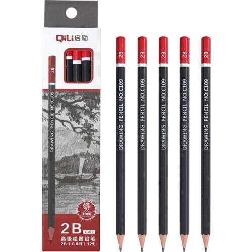 12 PCS Sketch Pencil Set Art 2B Pencil Student Painting Pencil Log Drawing Pencil Set Pencils for Kids School Supplies Set